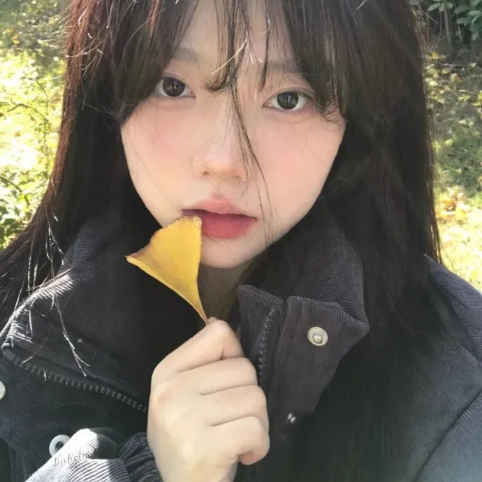 欢舞狂歌